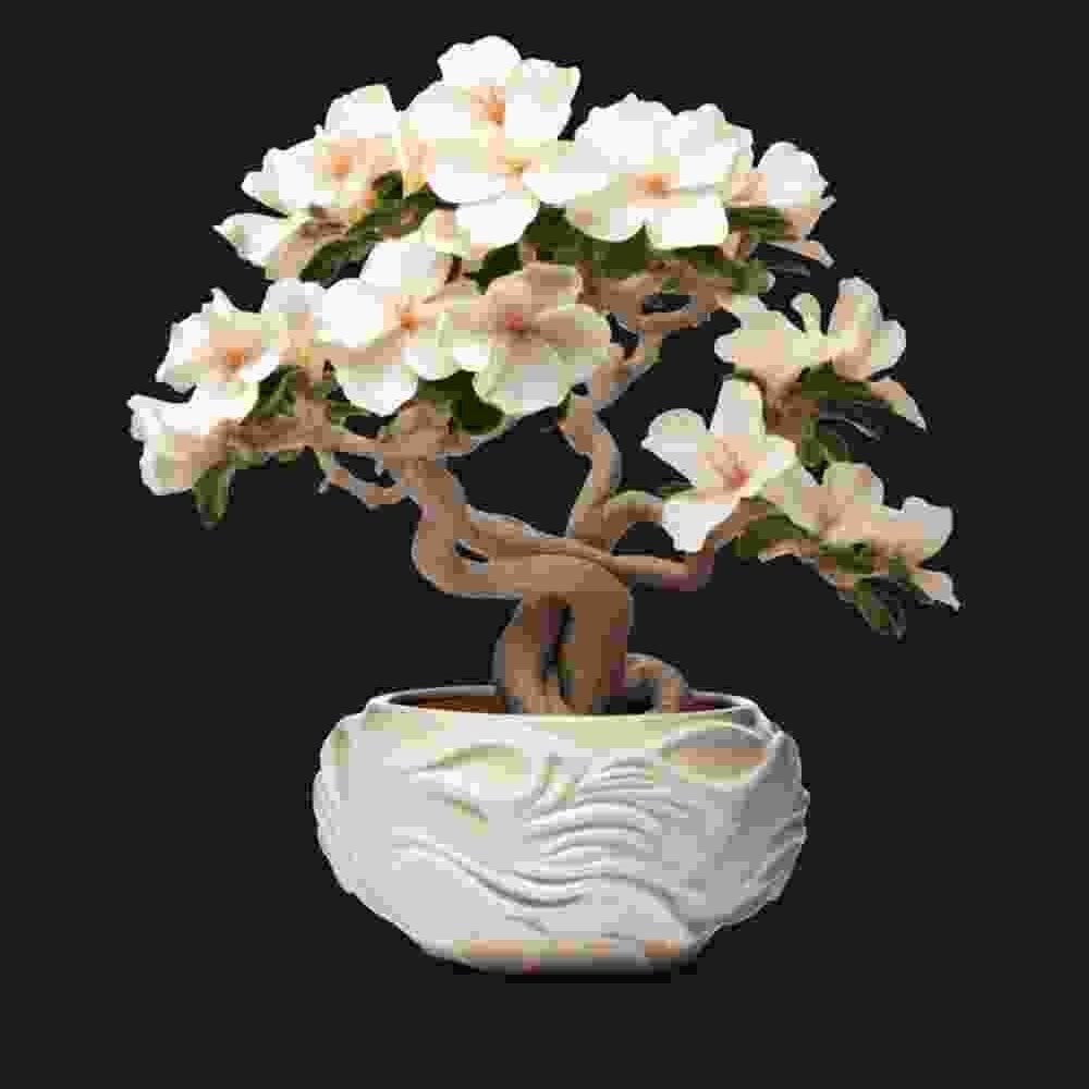 Shop Primary Image